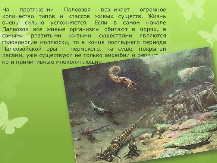 На протяжении Палеозоя возникает огромное количество типов и классов живых существ.