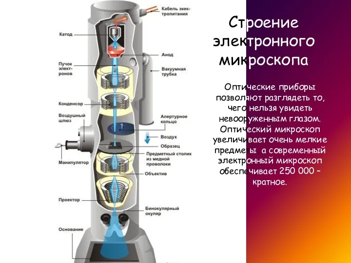 Строение электронного микроскопа Оптические приборы позволяют разглядеть то, чего нельзя увидеть