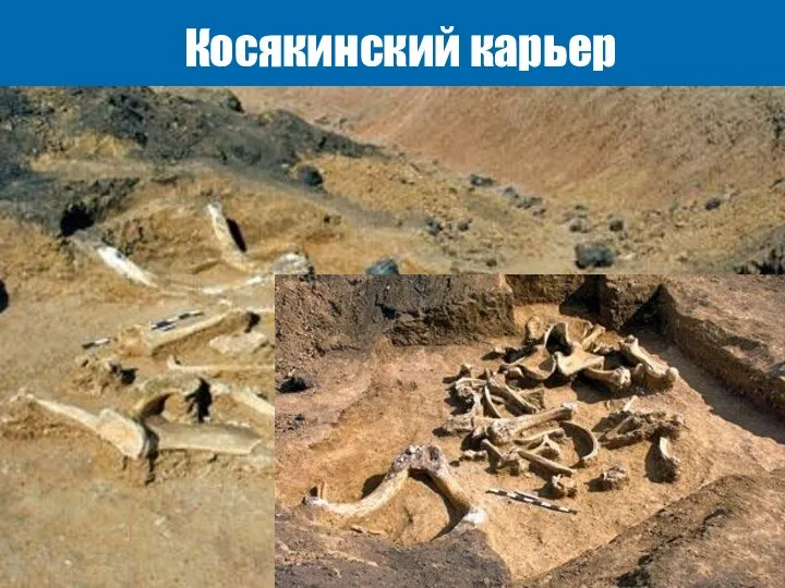 Косякинский карьер