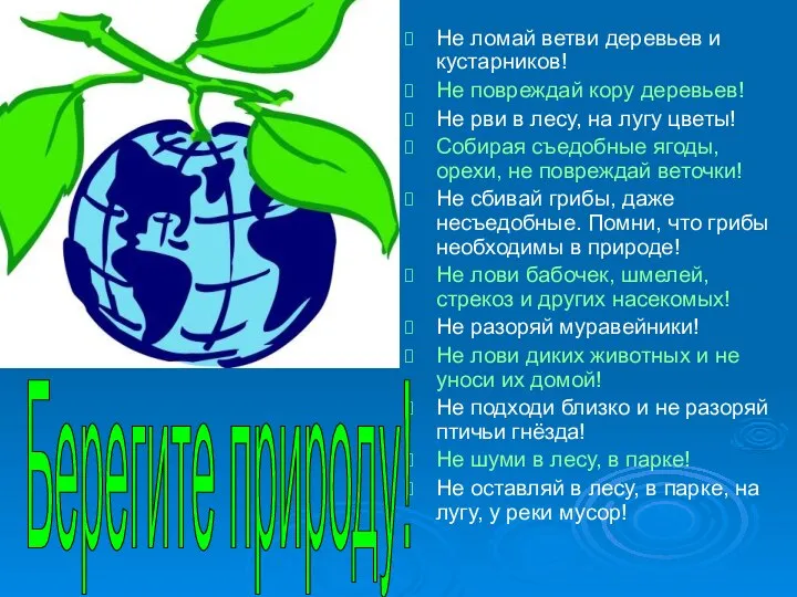 Не ломай ветви деревьев и кустарников! Не повреждай кору деревьев! Не