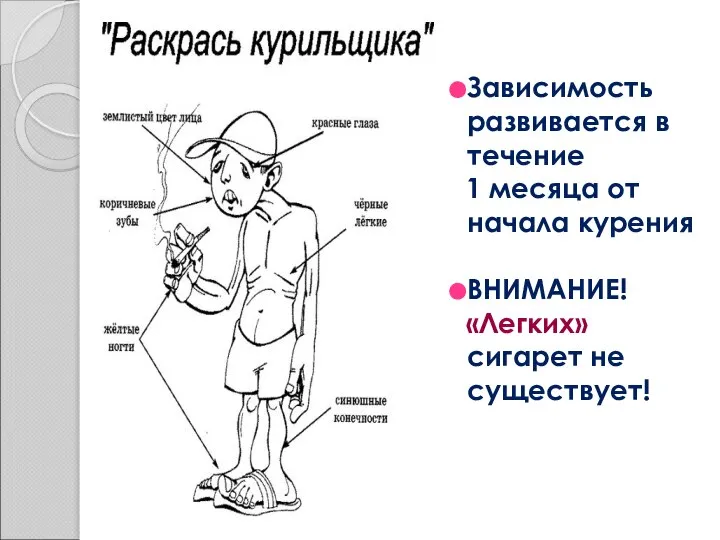 Зависимость развивается в течение 1 месяца от начала курения ВНИМАНИЕ! «Легких» сигарет не существует!