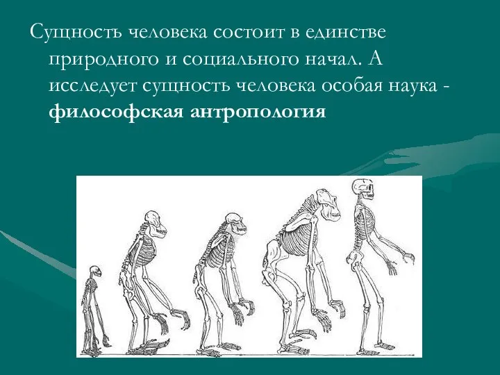 Сущность человека состоит в единстве природного и социального начал. А исследует