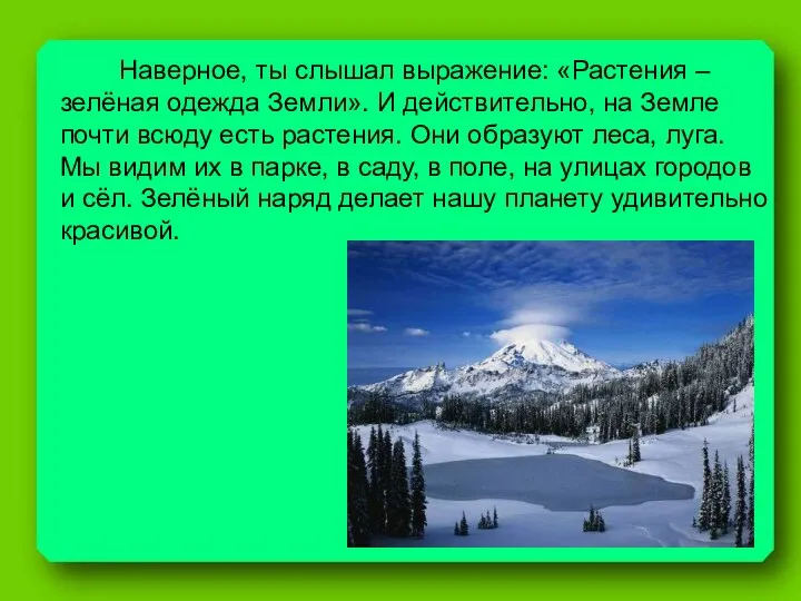 Наверное, ты слышал выражение: «Растения – зелёная одежда Земли». И действительно,