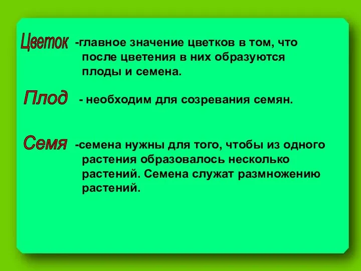 Цветок главное значение цветков в том, что после цветения в них