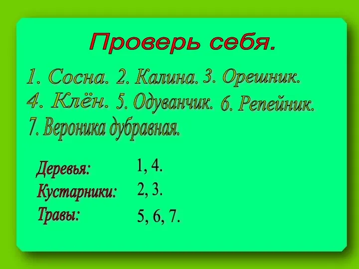 Проверь себя. 1. Сосна. Деревья: Кустарники: Травы: 1, 4. 2, 3.