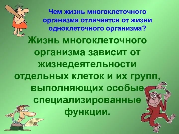 Жизнь многоклеточного организма зависит от жизнедеятельности отдельных клеток и их групп,