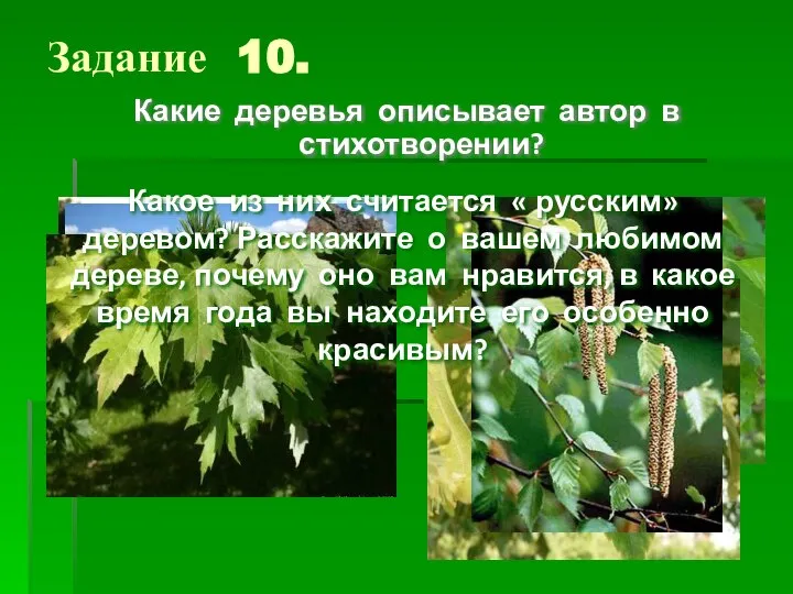 Задание 10. Какие деревья описывает автор в стихотворении? Какое из них