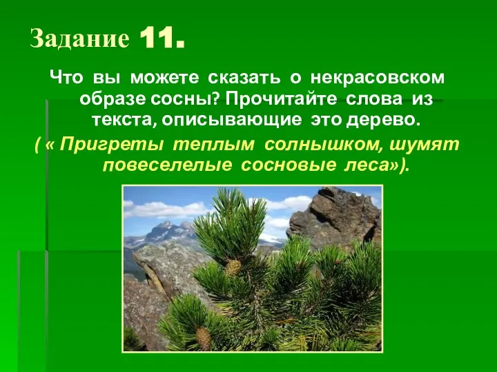 Задание 11. Что вы можете сказать о некрасовском образе сосны? Прочитайте