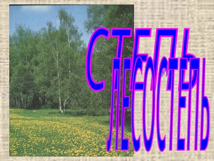 СТЕПЬ И ЛЕСОСТЕПЬ