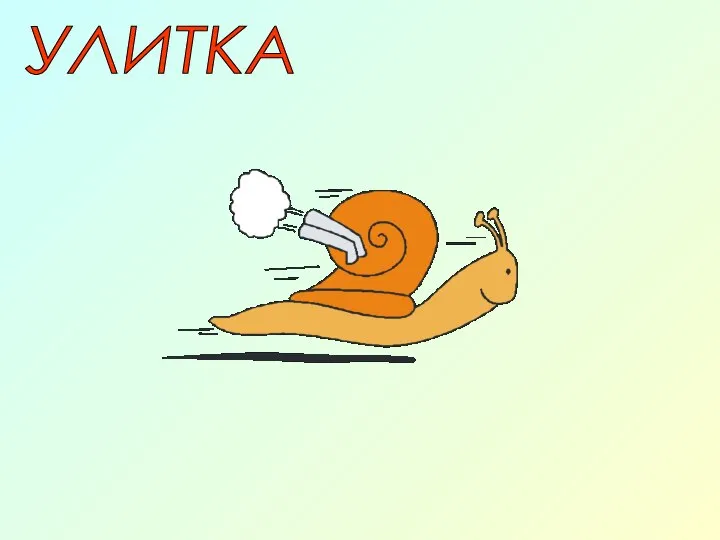 УЛИТКА