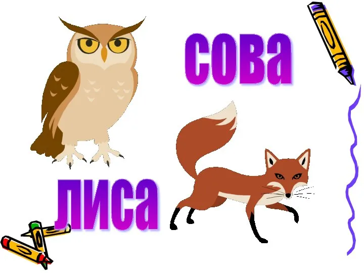 лиса сова