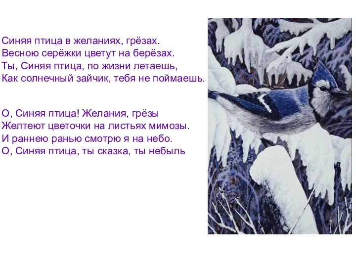 Синяя птица в желаниях, грёзах. Весною серёжки цветут на берёзах. Ты,