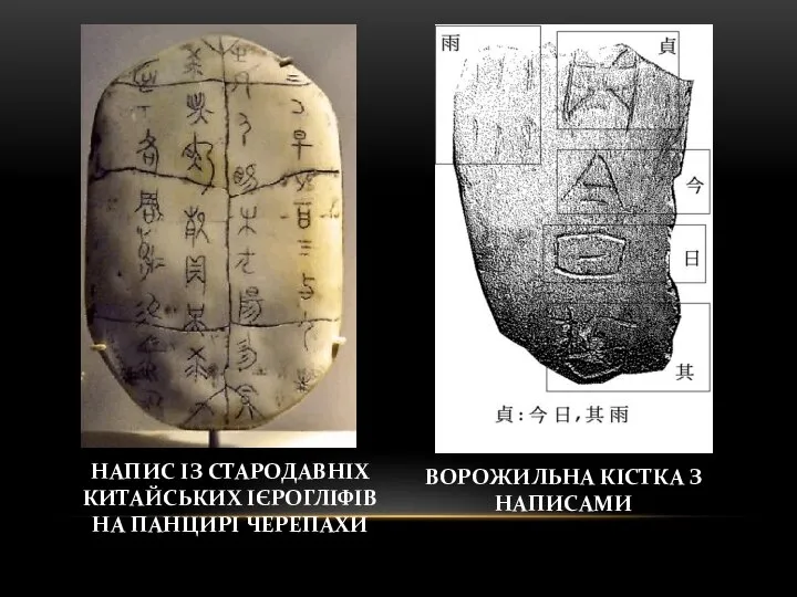 НАПИС ІЗ СТАРОДАВНІХ КИТАЙСЬКИХ ІЄРОГЛІФІВ НА ПАНЦИРІ ЧЕРЕПАХИ ВОРОЖИЛЬНА КІСТКА З НАПИСАМИ