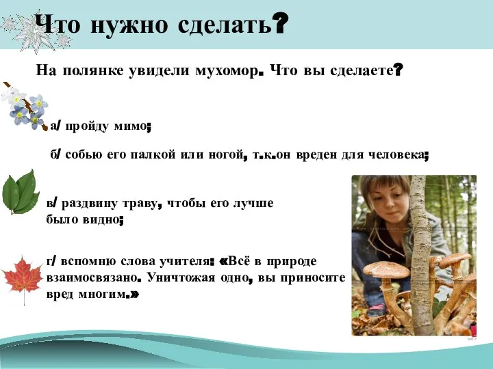 Что нужно сделать? На полянке увидели мухомор. Что вы сделаете? а/