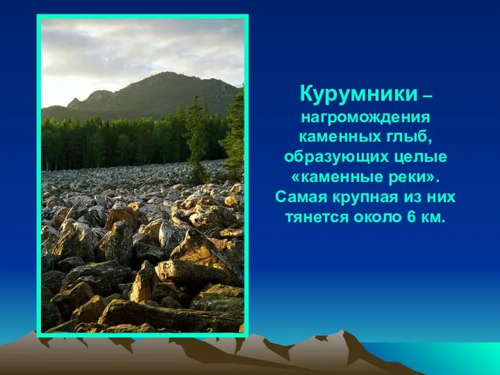 Курумники – нагромождения каменных глыб, образующих целые «каменные реки». Самая крупная