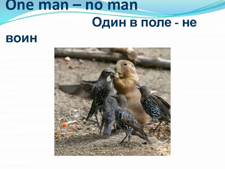 One man – no man Один в поле - не воин