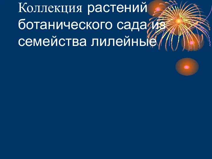 Коллекция растений ботанического сада из семейства лилейные