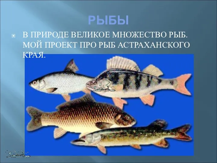 РЫБЫ В ПРИРОДЕ ВЕЛИКОЕ МНОЖЕСТВО РЫБ. МОЙ ПРОЕКТ ПРО РЫБ АСТРАХАНСКОГО КРАЯ.