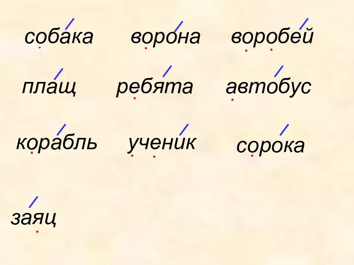 собака автобус воробей корабль ворона сорока плащ ученик ребята . .