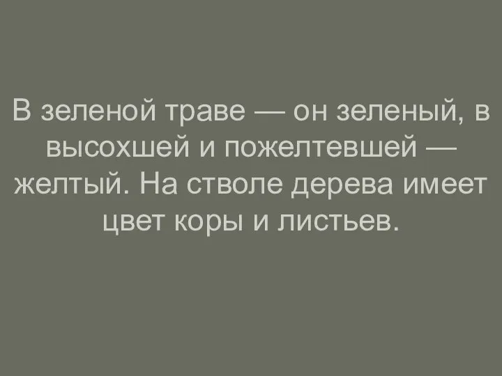 В зеленой траве — он зеленый, в высохшей и пожелтевшей —