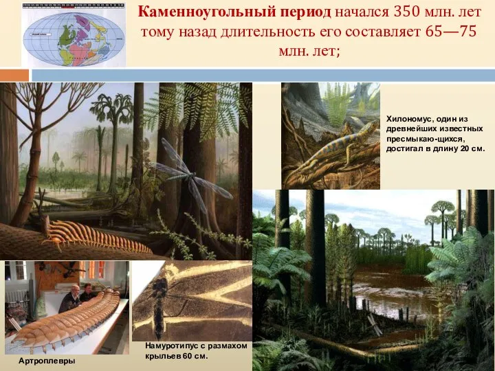 Каменноугольный период начался 350 млн. лет тому назад длительность его составляет