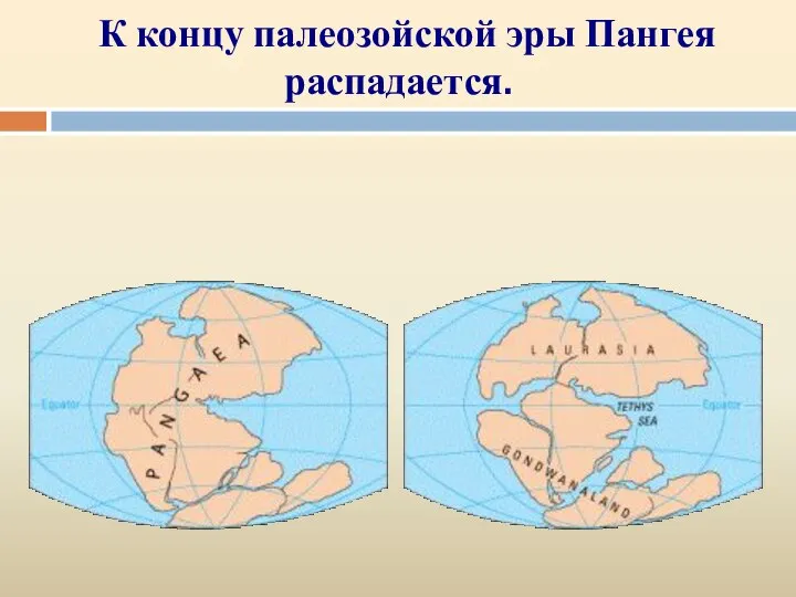 К концу палеозойской эры Пангея распадается.