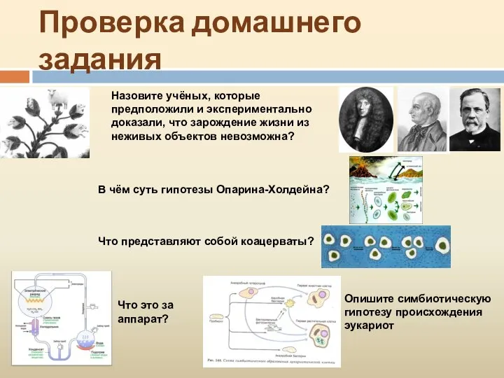 Проверка домашнего задания Назовите учёных, которые предположили и экспериментально доказали, что