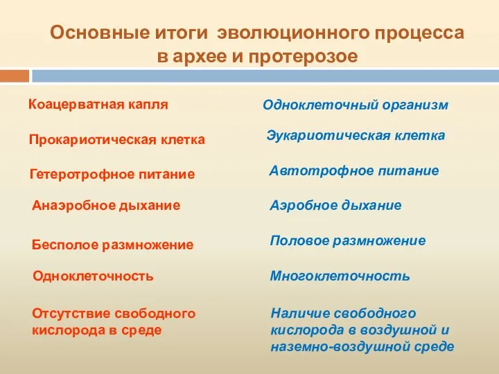 Основные итоги эволюционного процесса в архее и протерозое Коацерватная капля Одноклеточный