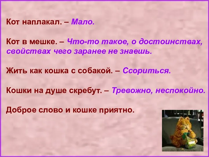 Кот наплакал. – Мало. Кот в мешке. – Что-то такое, о