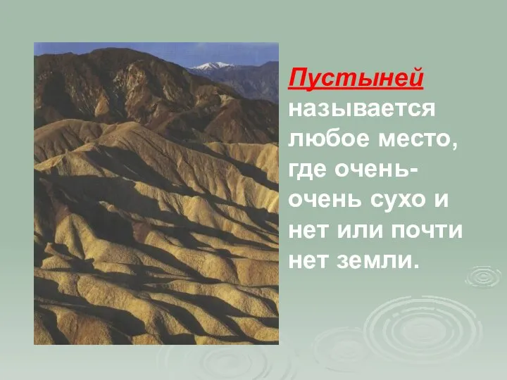 Пустыней называется любое место, где очень-очень сухо и нет или почти нет земли.