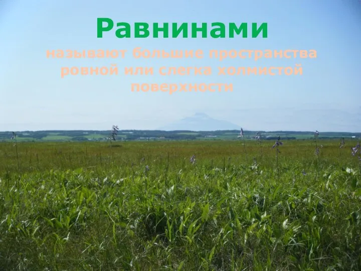 Равнинами называют большие пространства ровной или слегка холмистой поверхности