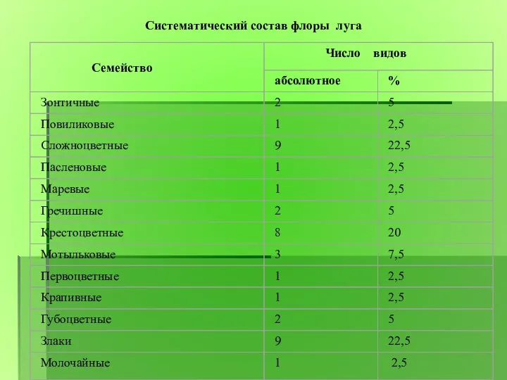 Систематический состав флоры луга