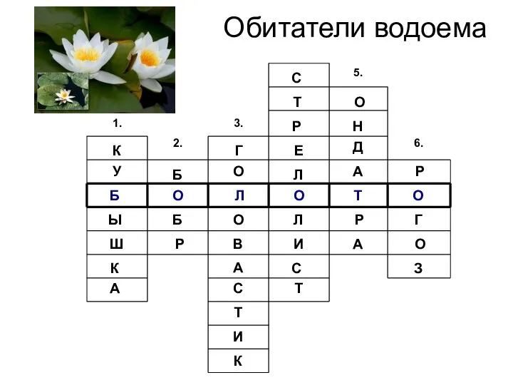 Обитатели водоема У Б К Ы Ш К А Б О