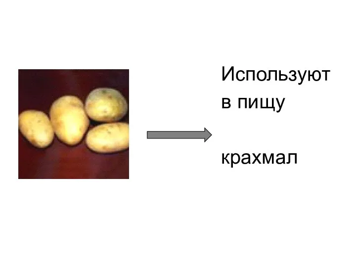 Используют в пищу крахмал