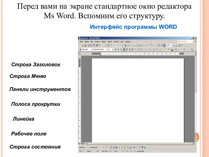 Строка Заголовок Строка Меню Полоса прокрутки Линейка Рабочее поле Строка состояния