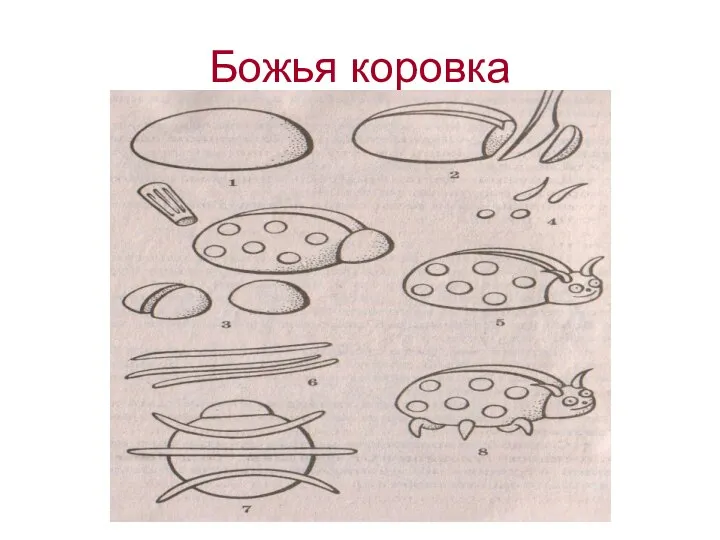 Божья коровка