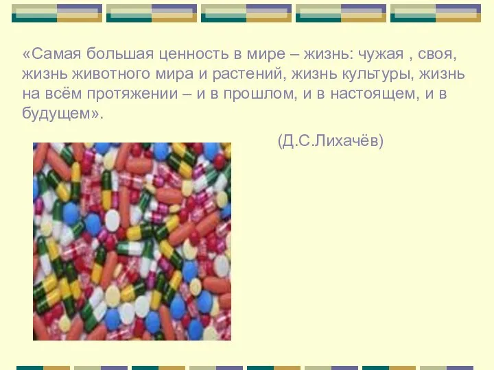 «Самая большая ценность в мире – жизнь: чужая , своя, жизнь