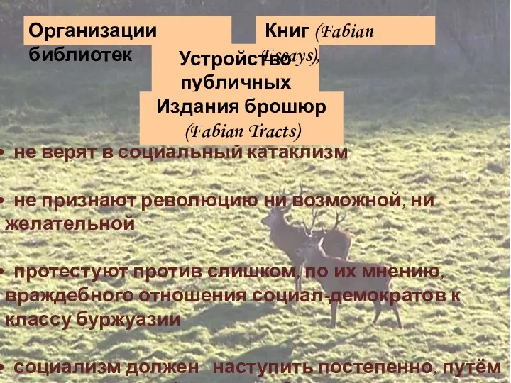 Организации библиотек не верят в социальный катаклизм не признают революцию ни