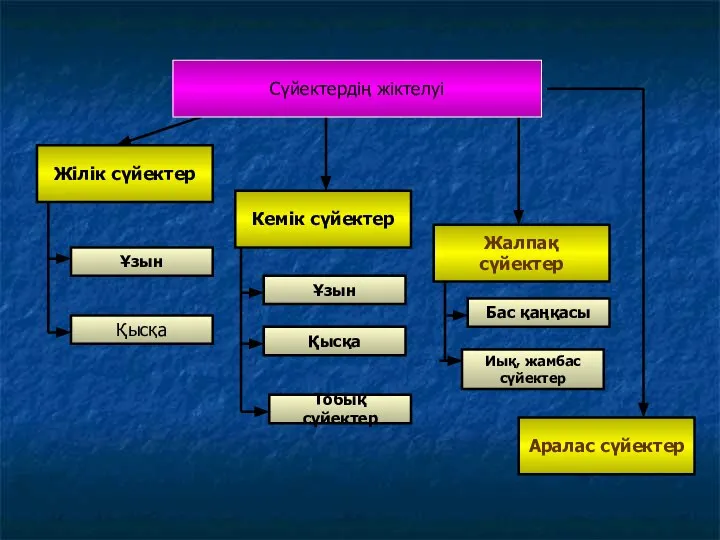 Жілік сүйектер Кемік сүйектер Жалпақ сүйектер Аралас сүйектер Ұзын Қысқа Ұзын