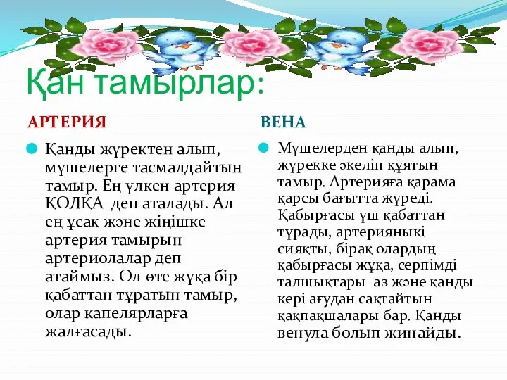 Қан тамырлар: АРТЕРИЯ ВЕНА Қанды жүректен алып, мүшелерге тасмалдайтын тамыр. Ең