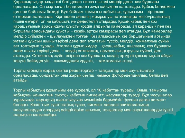 Қарашықтық артында екі беті дөңес линза пішінді мөлдір дене -көз бүршағы