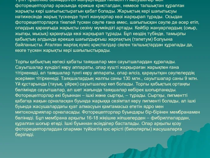 Түнгі тіршілікке бейімделген жануарларда пигментті жасушалар мен фоторецепторлар арасында ерекше кристалдан,