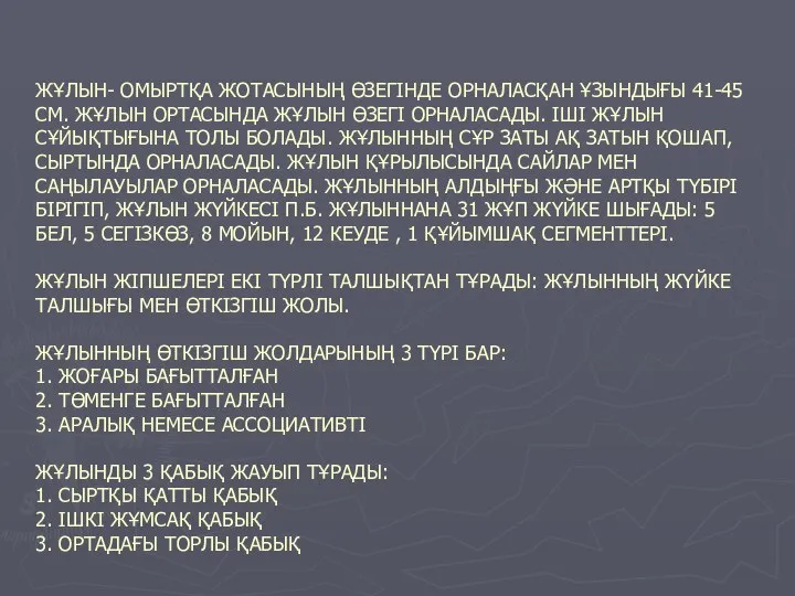 ЖҰЛЫН- ОМЫРТҚА ЖОТАСЫНЫҢ ӨЗЕГІНДЕ ОРНАЛАСҚАН ҰЗЫНДЫҒЫ 41-45 СМ. ЖҰЛЫН ОРТАСЫНДА ЖҰЛЫН