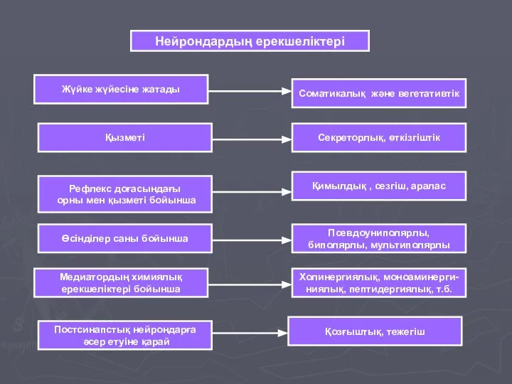 Нейрондардың ерекшеліктері Жүйке жүйесіне жатады Қызметі Өсінділер саны бойынша Медиатордың химиялық