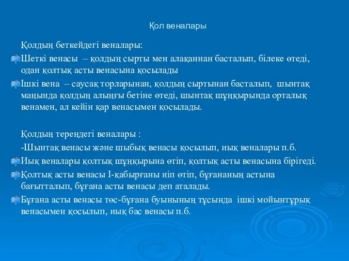 Қол веналары Қолдың беткейдегі веналары: Шеткі венасы – қолдың сырты мен