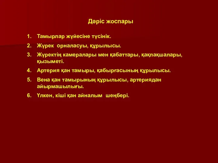 Дәріс жоспары Тамырлар жүйесіне түсінік. Жүрек орналасуы, құрылысы. Жүректің камералары мен