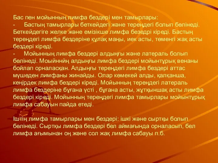 Бас пен мойынның лимфа бездері мен тамырлары: - Бастың тамырлары беткейдегі