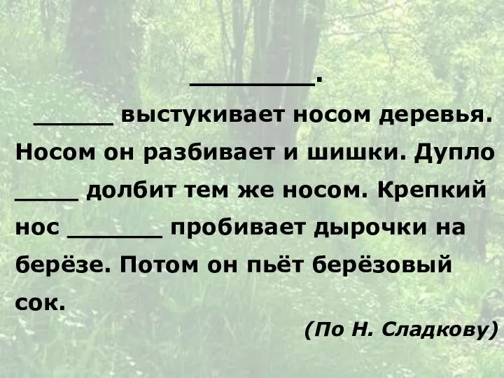 _______. _____ выстукивает носом деревья. Носом он разбивает и шишки. Дупло