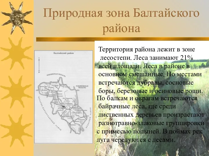 Природная зона Балтайского района Территория района лежит в зоне лесостепи. Леса