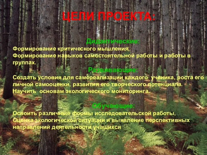 ЦЕЛИ ПРОЕКТА: Дидактические: Формирование критического мышления, Формирование навыков самостоятельной работы и